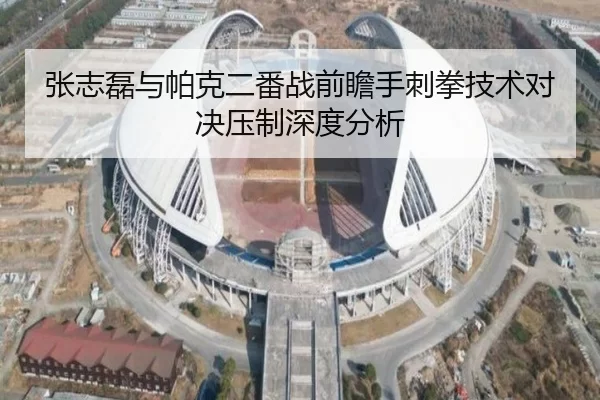 张志磊与帕克二番战前瞻手刺拳技术对决压制深度分析