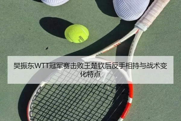 樊振东WTT冠军赛击败王楚钦后反手相持与战术变化特点