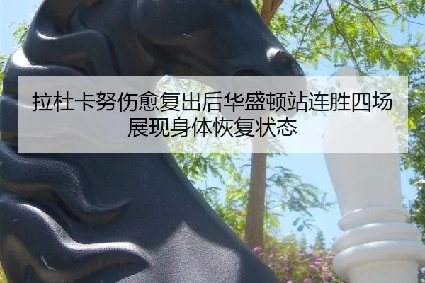 拉杜卡努伤愈复出后华盛顿站连胜四场展现身体恢复状态
